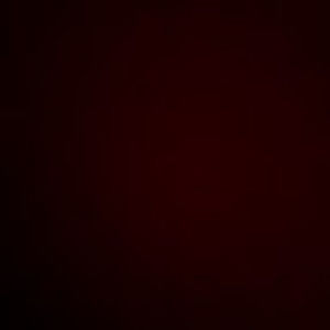 Meet your Posher, Maddox